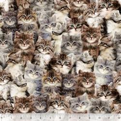 Søde katte på patchworkstof